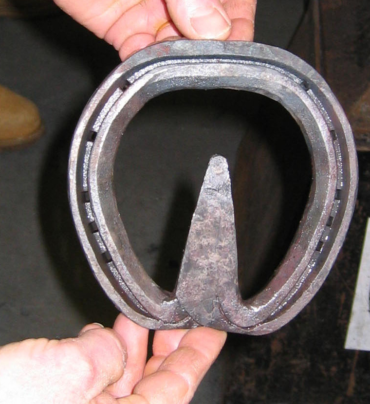 Fran Jurgas Hoof Blog News from Hoofcare + Lameness